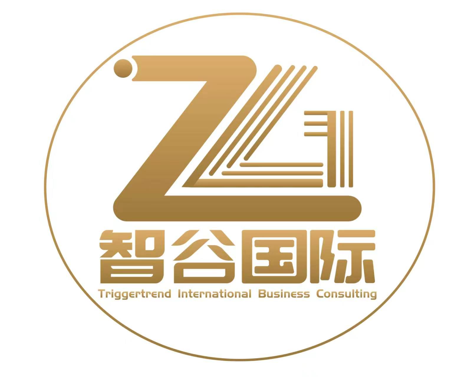 智谷国际